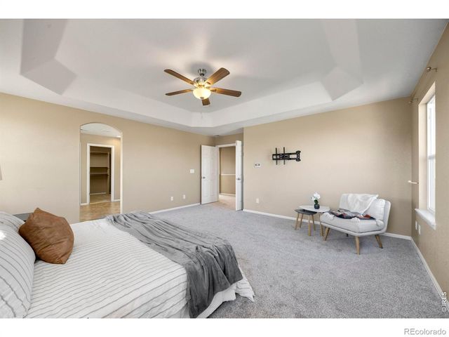 1555 Benfleet Court, Windsor, CO 80550