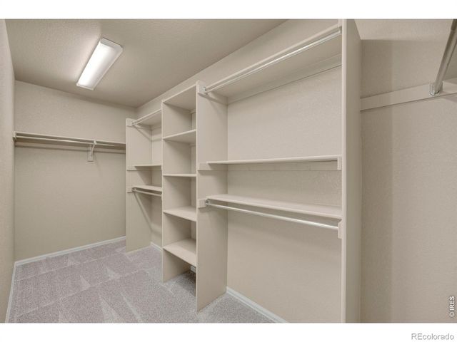 1555 Benfleet Court, Windsor, CO 80550