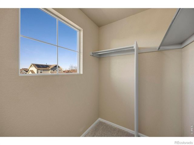 1555 Benfleet Court, Windsor, CO 80550