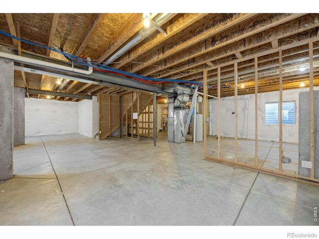 1555 Benfleet Court, Windsor, CO 80550