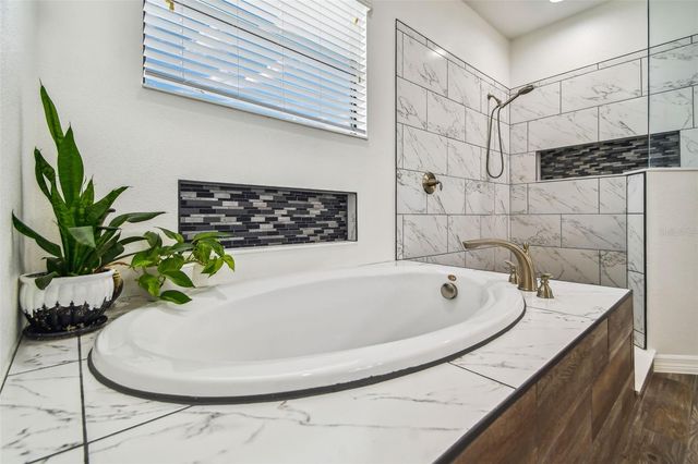10627 MISTFLOWER LANE, Tampa, FL 33647