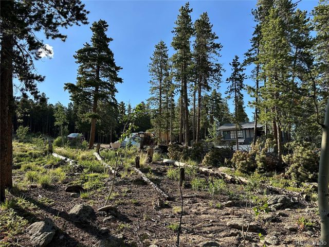 Mountain Meadows, Black Hawk, CO 80422