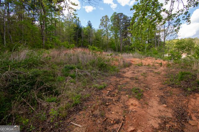 0 W Vineyard Road, Hayesville, NC 28904
