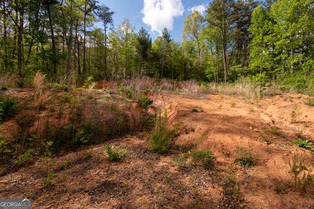 0 W Vineyard Road, Hayesville, NC 28904