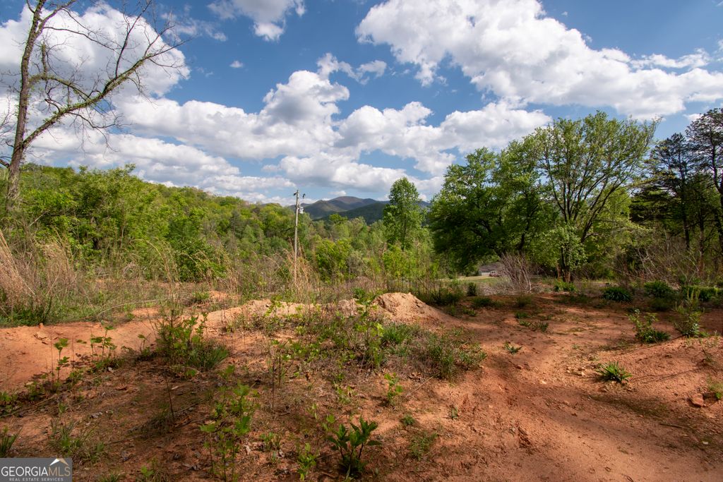 0 W Vineyard Road, Hayesville, NC 28904