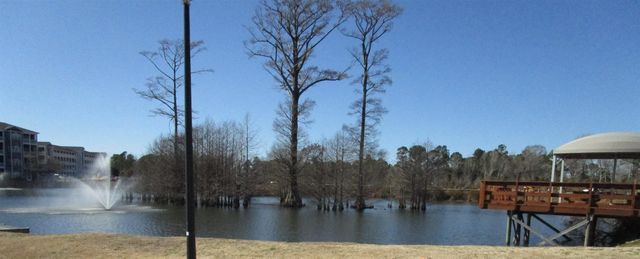 4526 N Plantation Harbour Dr Unit C1, Little River, SC 29566