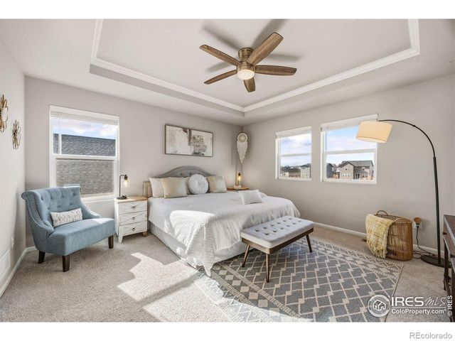 5247 Alberta Falls Street, Timnath, CO 80547