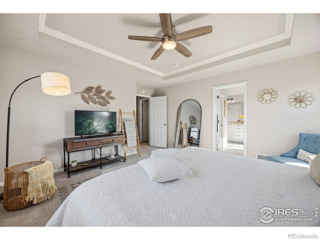 5247 Alberta Falls Street, Timnath, CO 80547