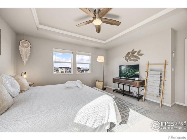 5247 Alberta Falls Street, Timnath, CO 80547