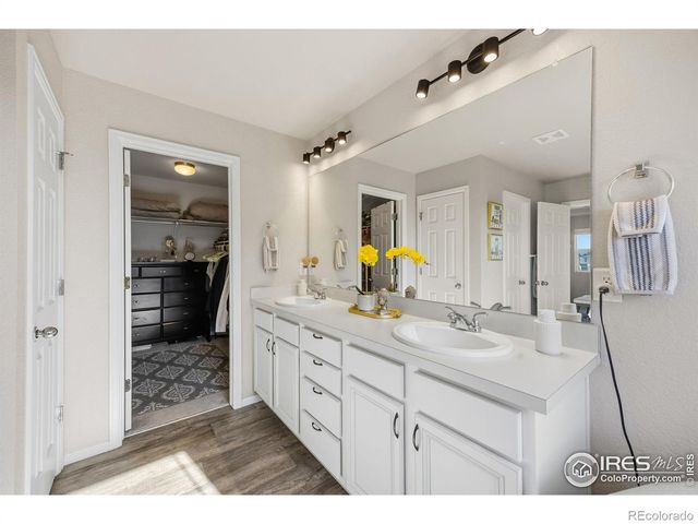 5247 Alberta Falls Street, Timnath, CO 80547