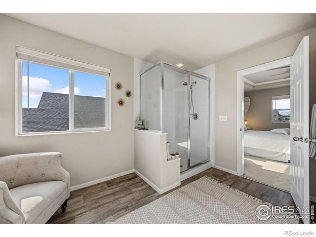 5247 Alberta Falls Street, Timnath, CO 80547