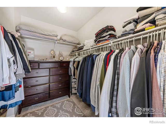 5247 Alberta Falls Street, Timnath, CO 80547