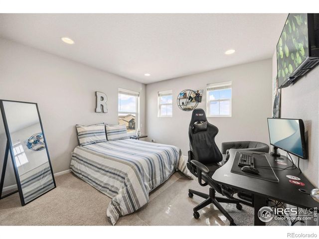 5247 Alberta Falls Street, Timnath, CO 80547