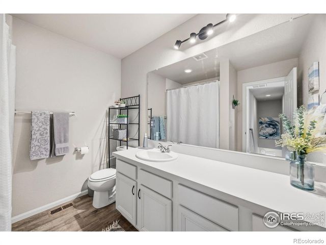 5247 Alberta Falls Street, Timnath, CO 80547