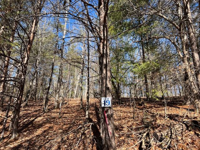 Lot 19 Mission Ridge, Hayesville, NC 28904