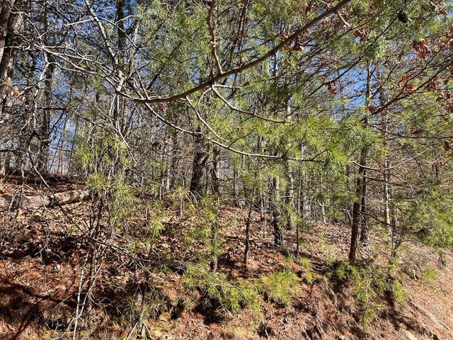 Lot 19 Mission Ridge, Hayesville, NC 28904