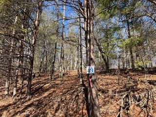 Lot 19 Mission Ridge, Hayesville, NC 28904