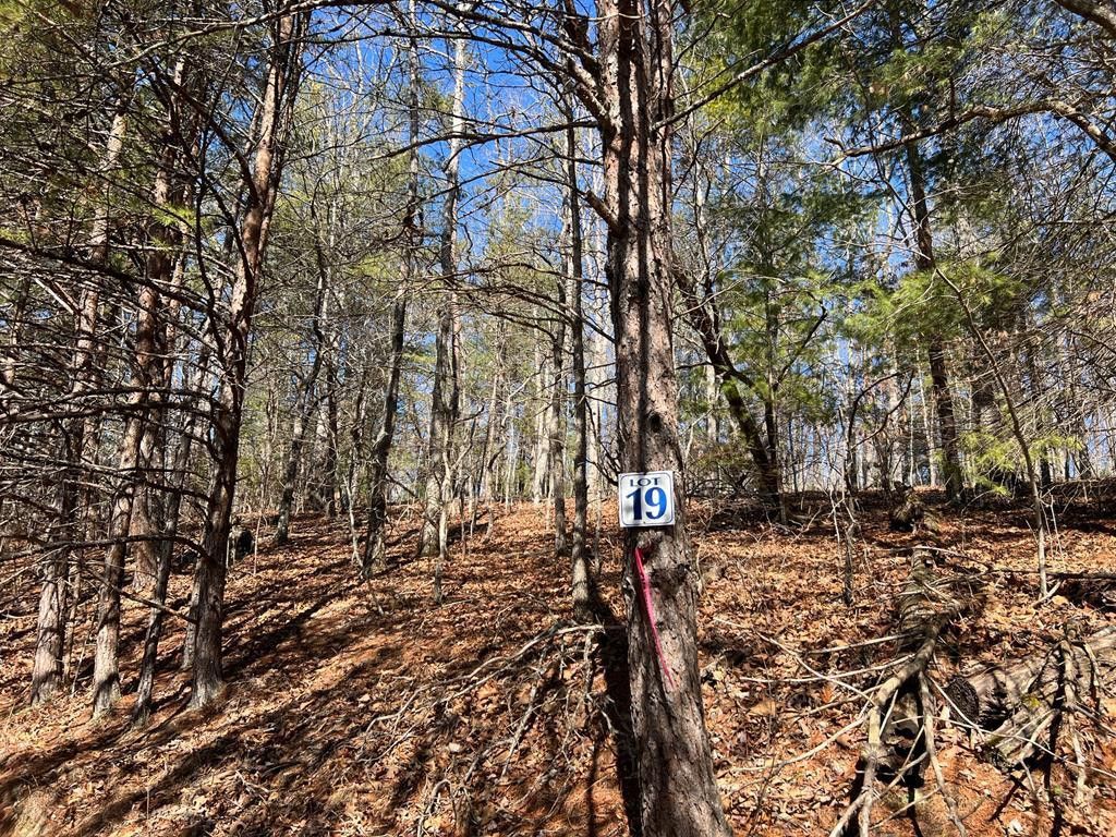 Lot 19 Mission Ridge, Hayesville, NC 28904