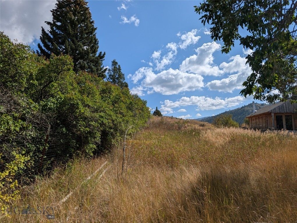 Tbd E Warren Street, Virginia City, MT 59755 photo 3