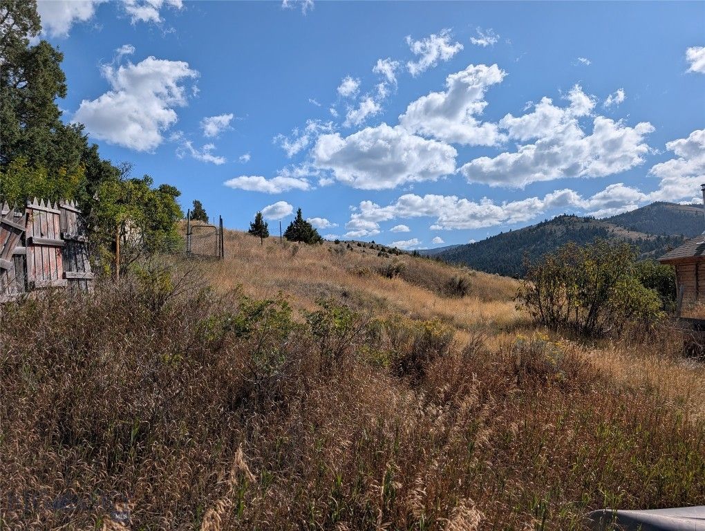 Tbd E Warren Street, Virginia City, MT 59755 photo 4