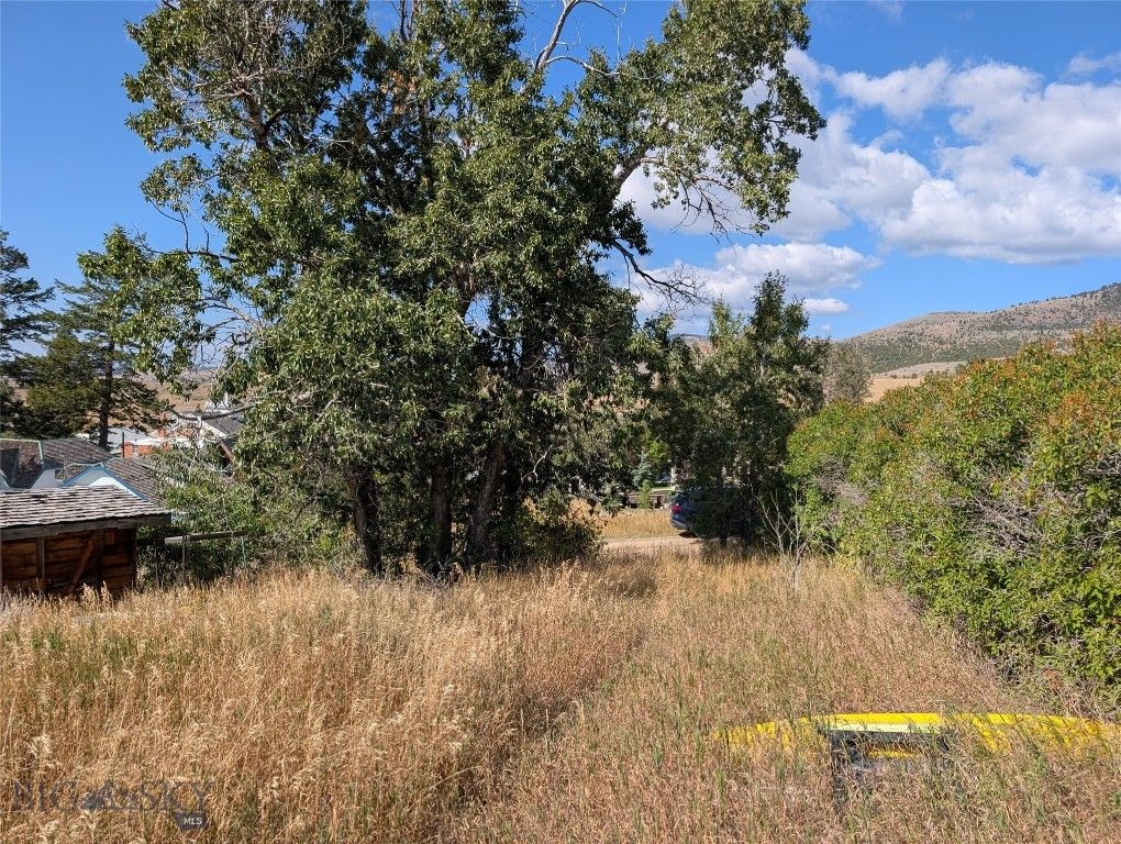 Tbd E Warren Street, Virginia City, MT 59755 photo 5