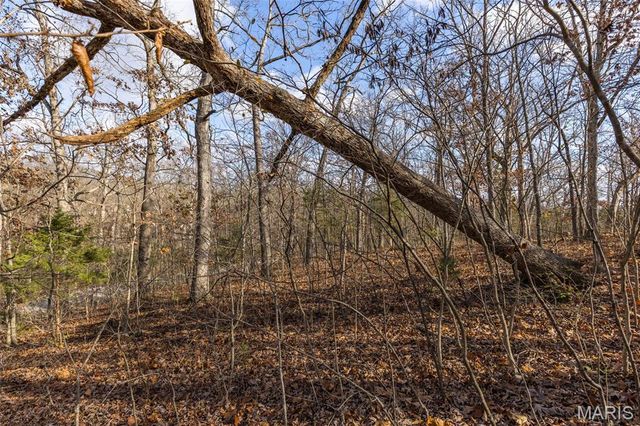 6110 Shenandoah Drive, Hillsboro, MO 63050