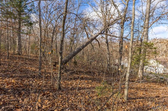 6110 Shenandoah Drive, Hillsboro, MO 63050