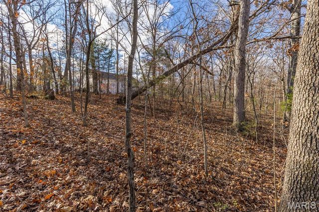 6110 Shenandoah Drive, Hillsboro, MO 63050