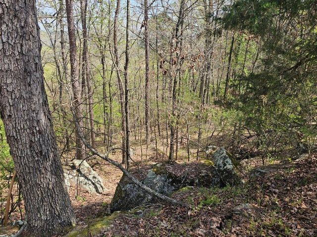 W Chimney Rock Road West, London, AR 72847