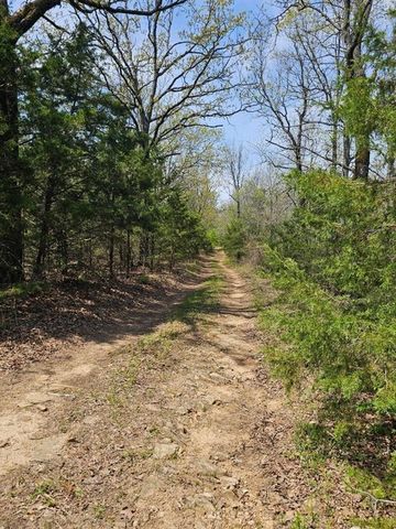 W Chimney Rock Road West, London, AR 72847