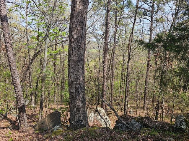 W Chimney Rock Road West, London, AR 72847