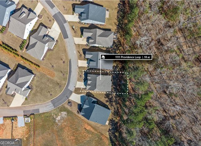 1111 Providence Loop, Greensboro, GA 30642