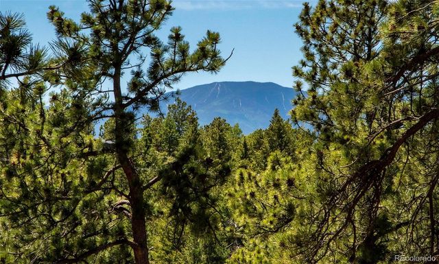 25997 Mountain View Road, Golden, CO 80401