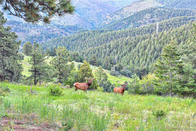 25997 Mountain View Road, Golden, CO 80401