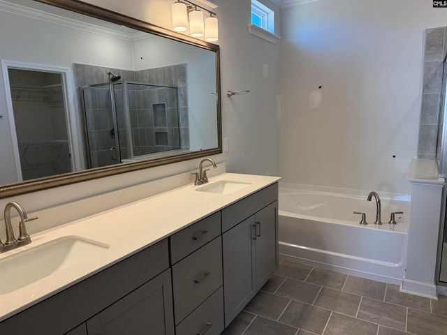 427 Rising Stream Way, Chapin, SC 29036