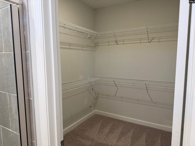 427 Rising Stream Way, Chapin, SC 29036