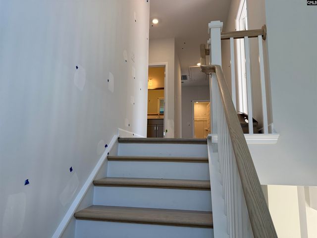 427 Rising Stream Way, Chapin, SC 29036