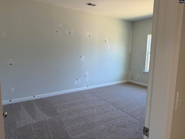 427 Rising Stream Way, Chapin, SC 29036