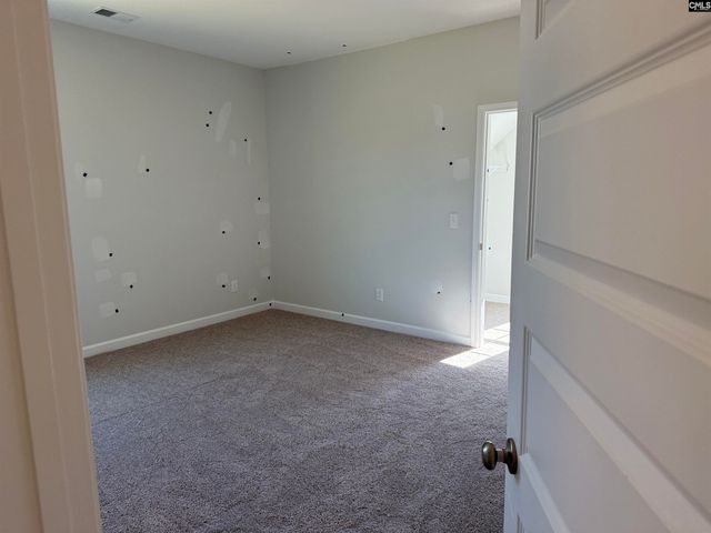 427 Rising Stream Way, Chapin, SC 29036