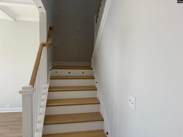 427 Rising Stream Way, Chapin, SC 29036