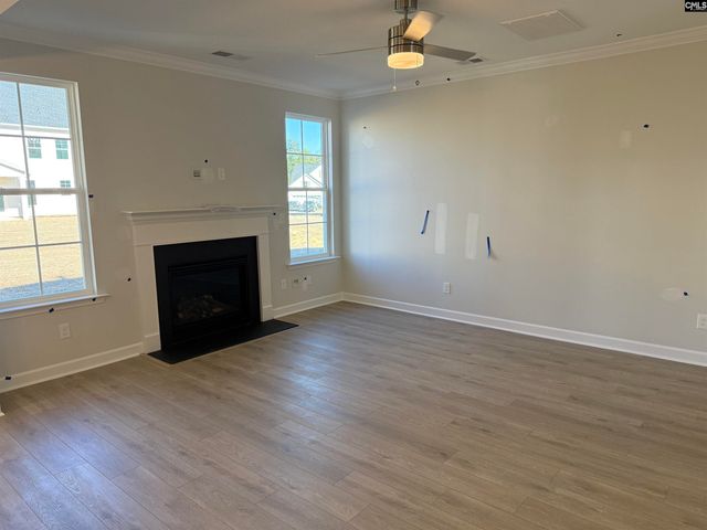 427 Rising Stream Way, Chapin, SC 29036