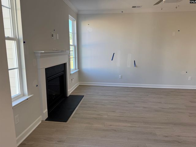 427 Rising Stream Way, Chapin, SC 29036