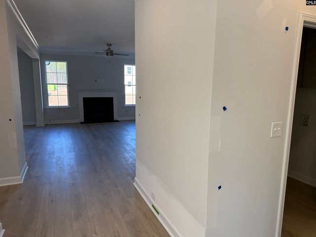 427 Rising Stream Way, Chapin, SC 29036