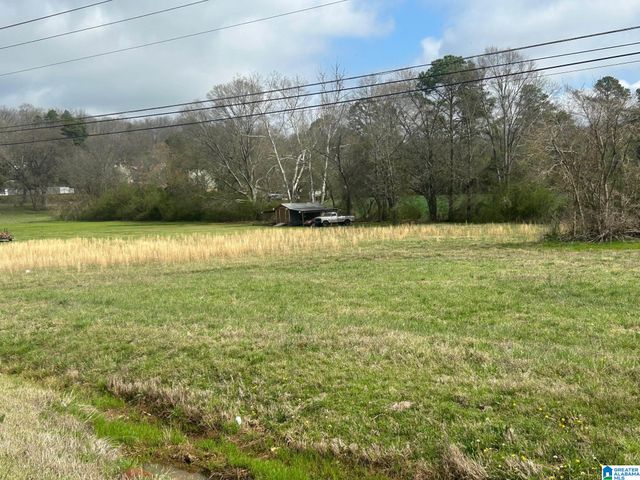 25 PELHAM LANE, Alexandria, AL 36250