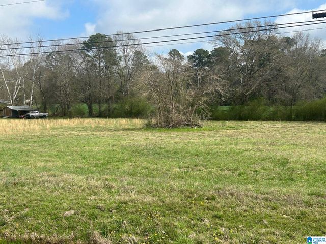 25 PELHAM LANE, Alexandria, AL 36250