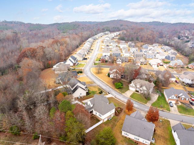 3961 Bentwood Cove Drive, Apison, TN 37302