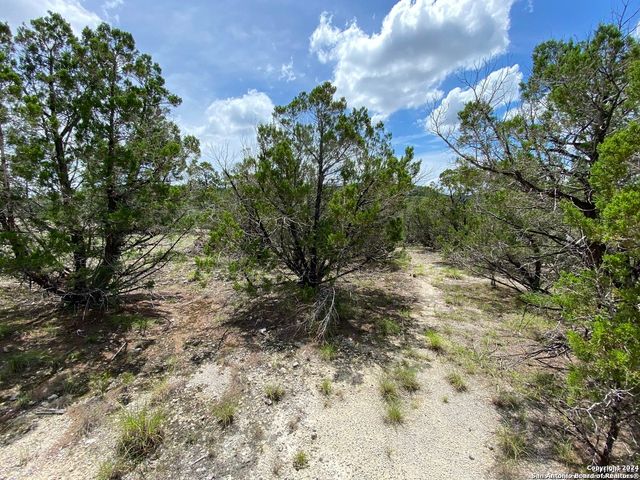 LOT 391 PR 1748, Mico, TX 78056