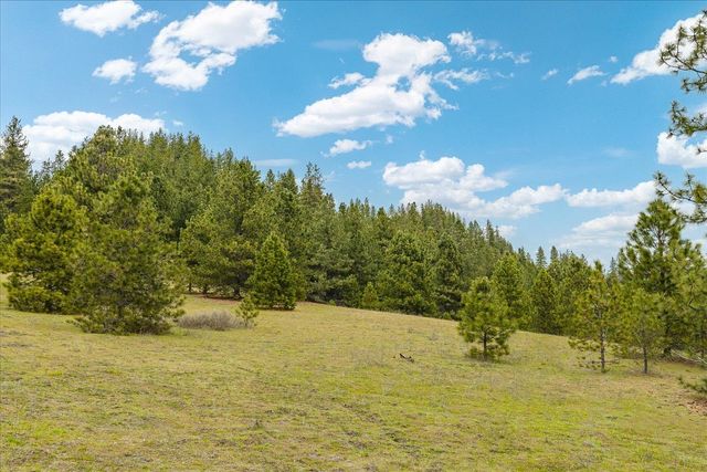 NKA Shultz Ln, Newport, WA 99156