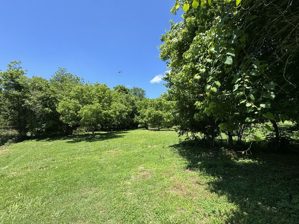 2342 Valley Creek Rd, Culleoka, TN 38451