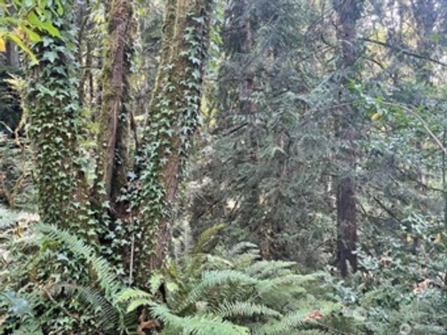 0 Melcher Street, Port Orchard, WA 98366